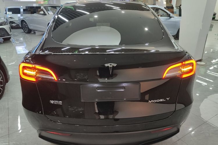 Used Tesla Model Y 2022 Rear-Wheel-Drive Version Rear