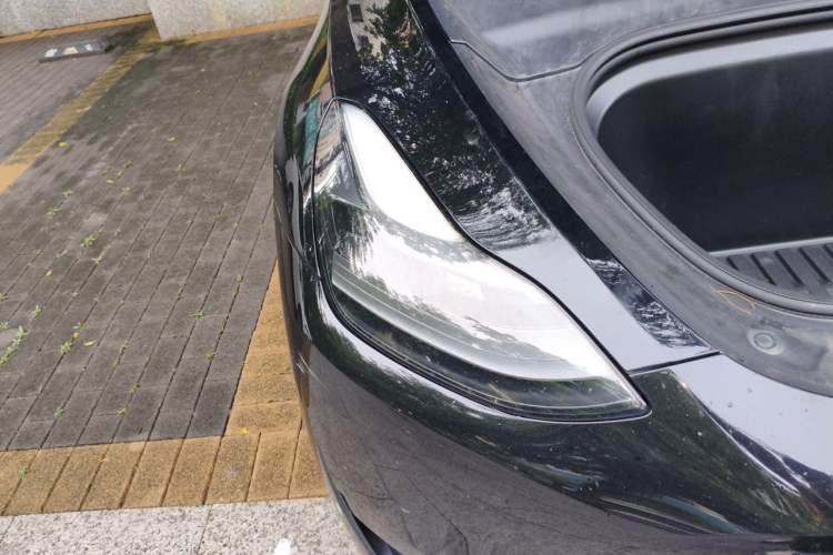 Used Tesla Model Y 2022 Rear-Wheel-Drive Version Right Front Headlight