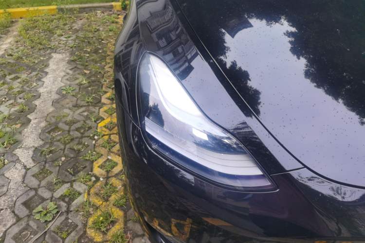 Used Tesla Model Y 2022 Revised Version Long-Range All-Wheel Drive Right Front Headlight