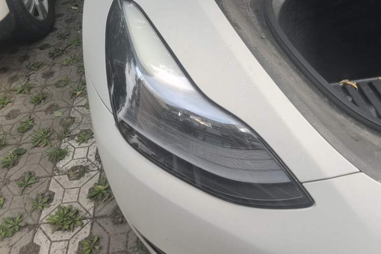 Used Tesla Model Y 2022 Rear-Wheel-Drive Version Right Front Headlight