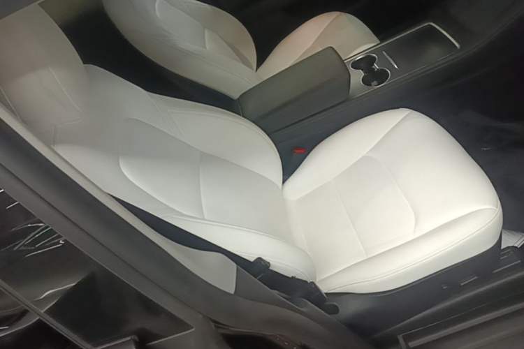 Used Tesla Model Y 2022 Revised Version Rear-Wheel Drive Right Front Seat