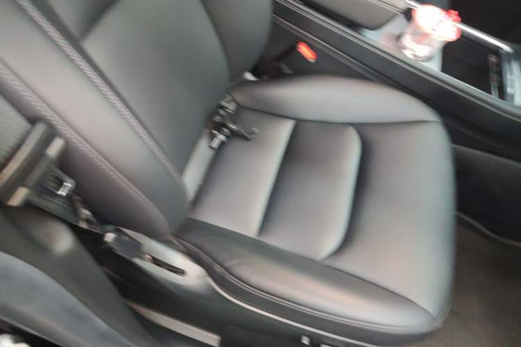 Used Tesla Model Y 2022 Rear-Wheel-Drive Version Right Front Seat