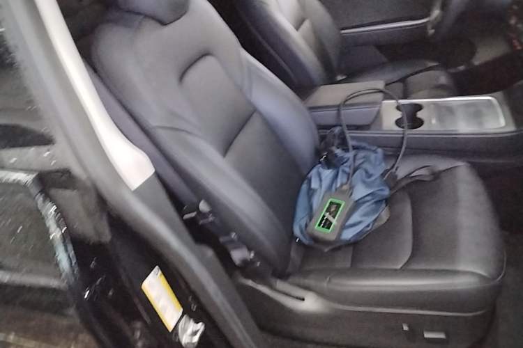 Used Tesla Model Y 2022 Long-Range All-Wheel-Drive Version Right Front Seat