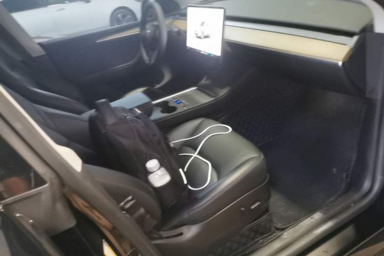 Used Tesla Model Y 2022 Revised Version Rear-Wheel Drive Right Front Seat