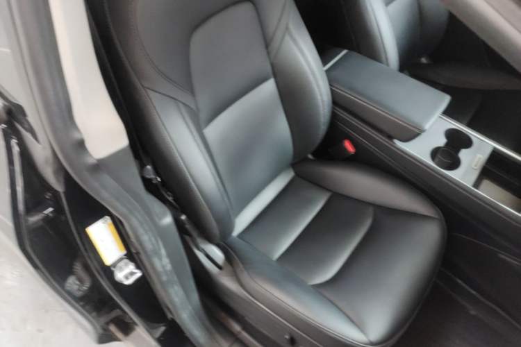 Used Tesla Model Y 2022 Revised Version Rear-Wheel Drive Right Front Seat
