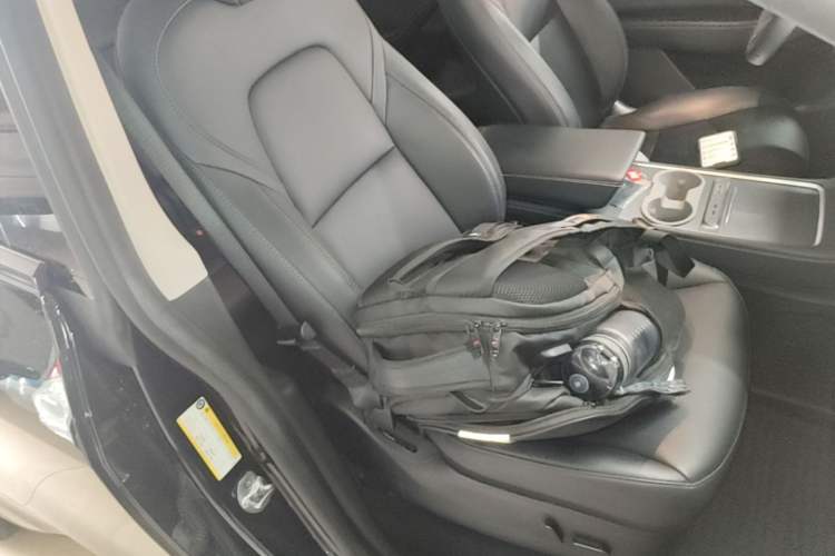 Used Tesla Model Y 2022 Revised Version Rear-Wheel Drive Right Front Seat