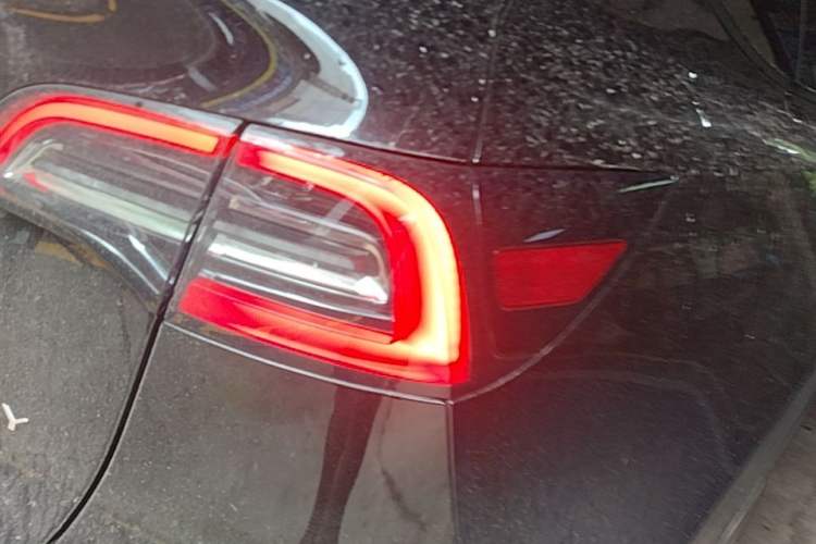 Used Tesla Model Y 2022 Rear-Wheel-Drive Version Right Rear Taillight