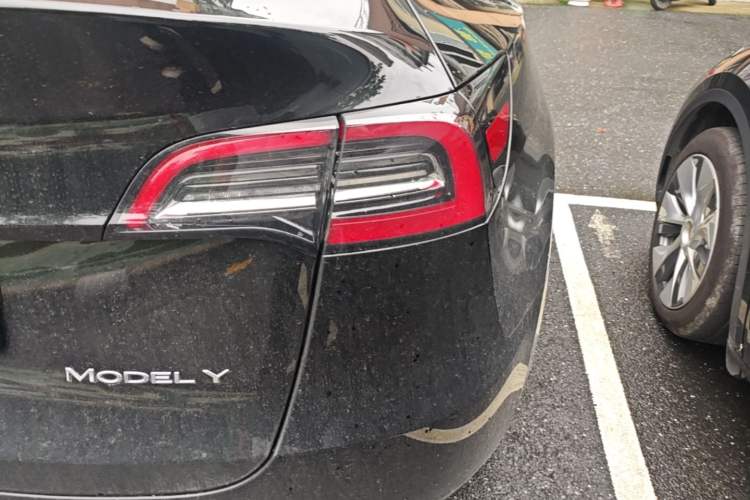 Used Tesla Model Y 2022 Revised Version Rear-Wheel Drive Right Rear Taillight