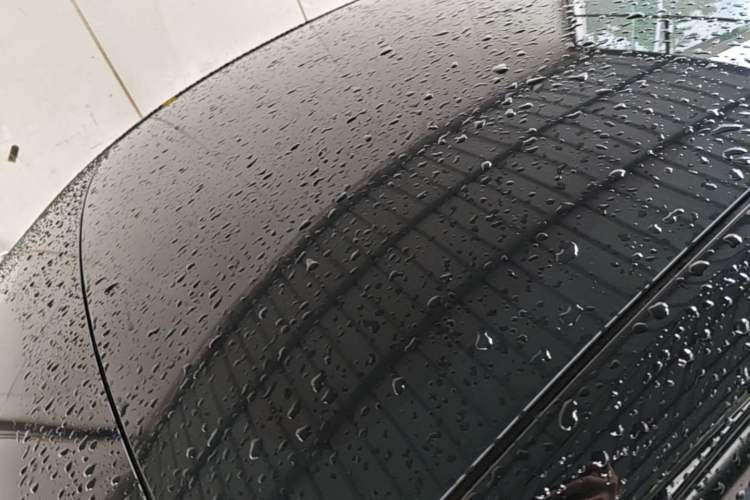 Used Tesla Model Y 2022 Rear-Wheel-Drive Version Roof