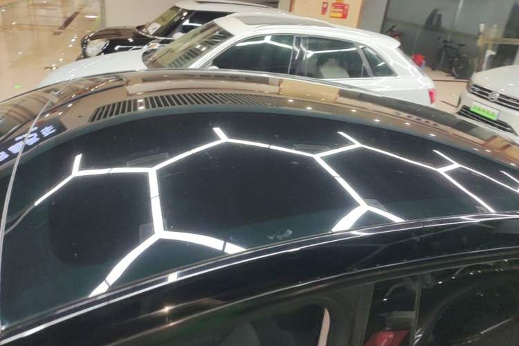 Used Tesla Model Y 2022 Rear-Wheel-Drive Version Roof