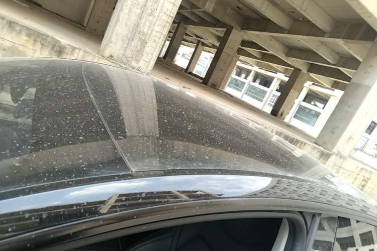 Used Tesla Model Y 2022 Revised Version Rear-Wheel Drive Roof
