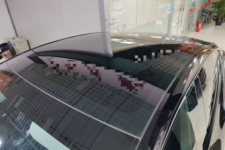 Used Tesla Model Y 2022 Rear-Wheel-Drive Version Roof