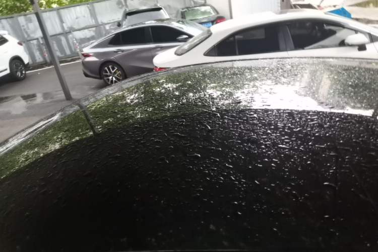 Used Tesla Model Y 2022 Revised Version Rear-Wheel Drive Roof
