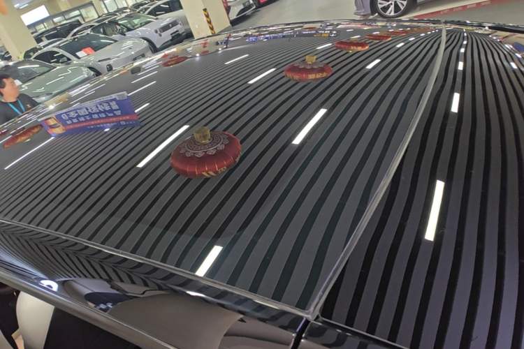 Used Tesla Model Y 2022 Rear-Wheel-Drive Version Roof