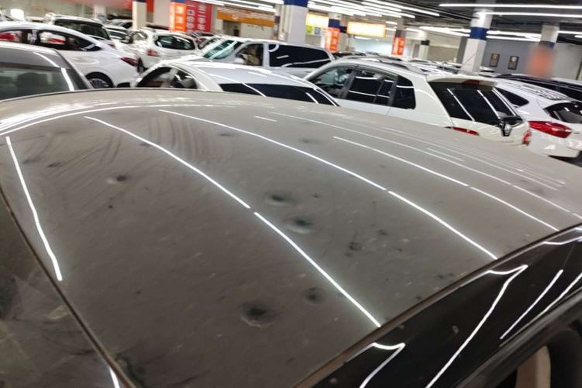 Used Tesla Model Y 2022 Rear-Wheel-Drive Version Roof