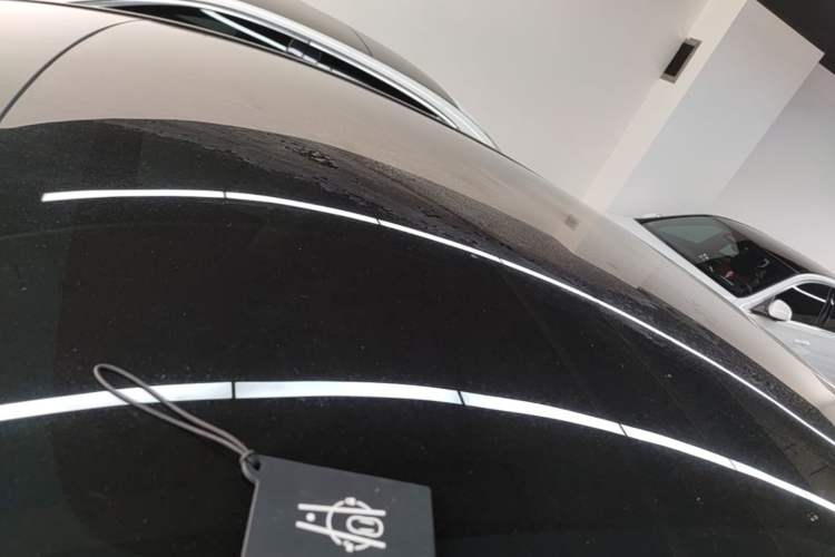Used Tesla Model Y 2022 Rear-Wheel-Drive Version Roof