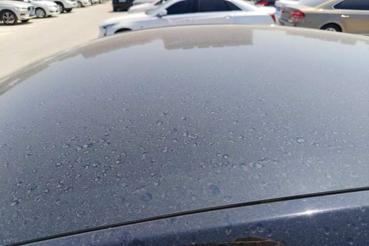 Used Tesla Model Y 2022 Revised Version Rear-Wheel Drive Roof