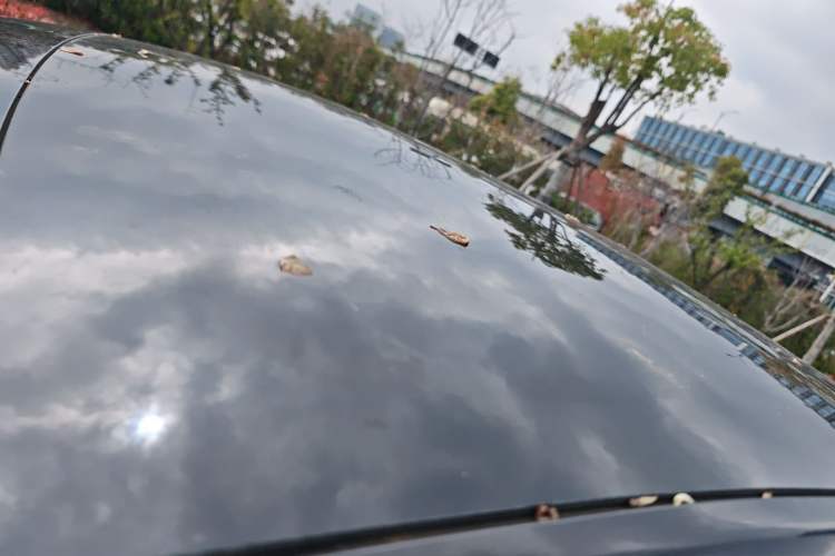 Used Tesla Model Y 2022 Revised Version Rear-Wheel Drive Roof