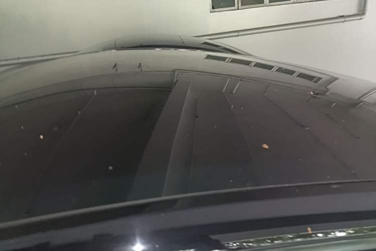 Used Tesla Model Y 2022 Long-Range All-Wheel-Drive Version Roof
