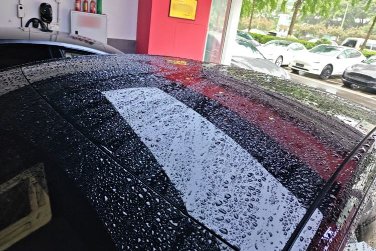 Used Tesla Model Y 2022 Rear-Wheel-Drive Version Roof
