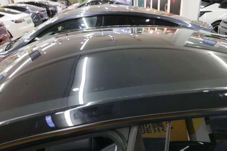 Used Tesla Model Y 2022 Rear-Wheel-Drive Version Roof