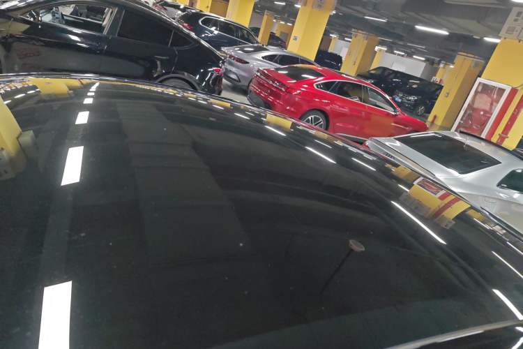 Used Tesla Model Y 2022 Rear-Wheel-Drive Version Roof