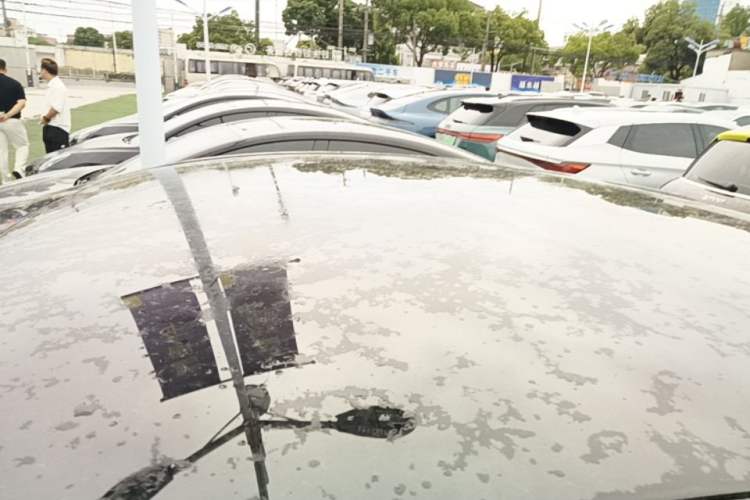 Used Tesla Model Y 2022 Rear-Wheel-Drive Version Roof