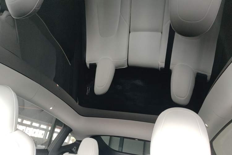Used Tesla Model Y 2022 Performance High-Performance All-Wheel-Drive Version Roof