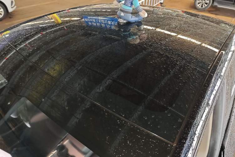 Used Tesla Model Y 2022 Rear-Wheel-Drive Version Roof