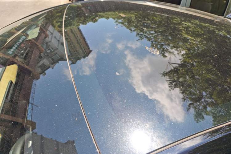 Used Tesla Model Y 2022 Long-Range All-Wheel-Drive Version Roof