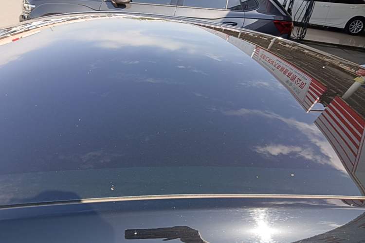 Used Tesla Model Y 2022 Rear-Wheel-Drive Version Roof