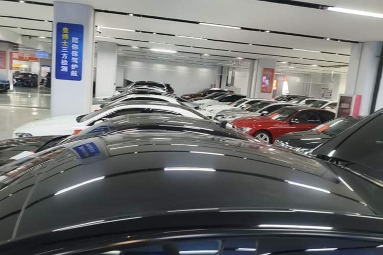 Used Tesla Model Y 2022 Rear-Wheel-Drive Version Roof
