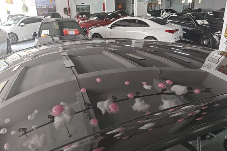 Used Tesla Model Y 2022 Rear-Wheel-Drive Version Roof