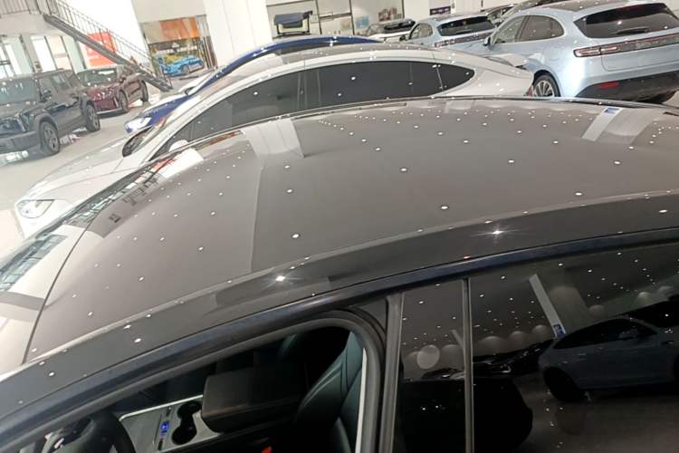 Used Tesla Model Y 2022 Performance High-Performance All-Wheel-Drive Version Roof