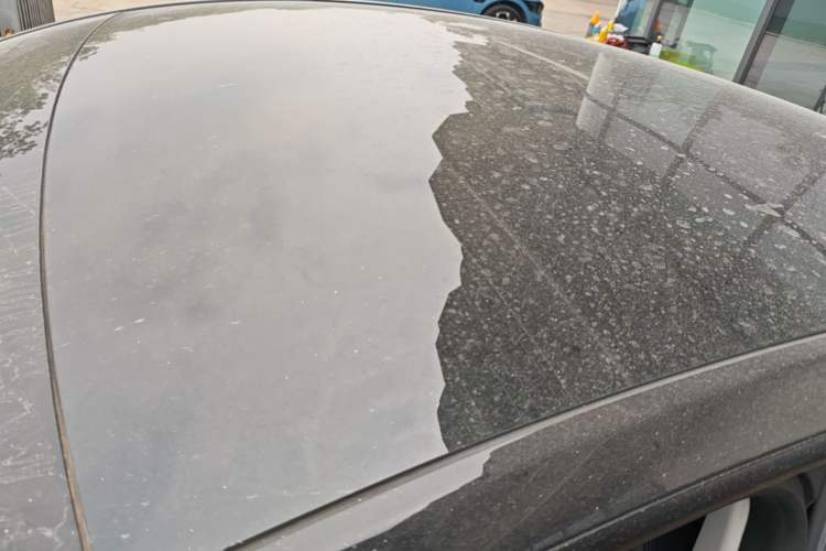 Used Tesla Model Y 2022 Revised Version Rear-Wheel Drive Roof
