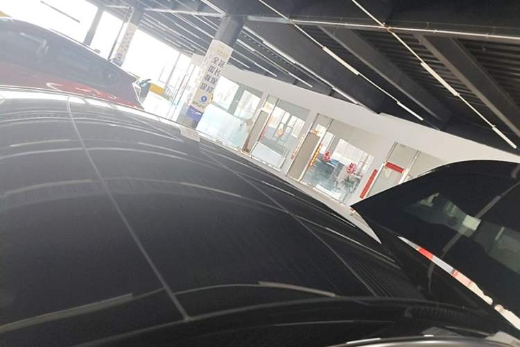 Used Tesla Model Y 2022 Rear-Wheel-Drive Version Roof