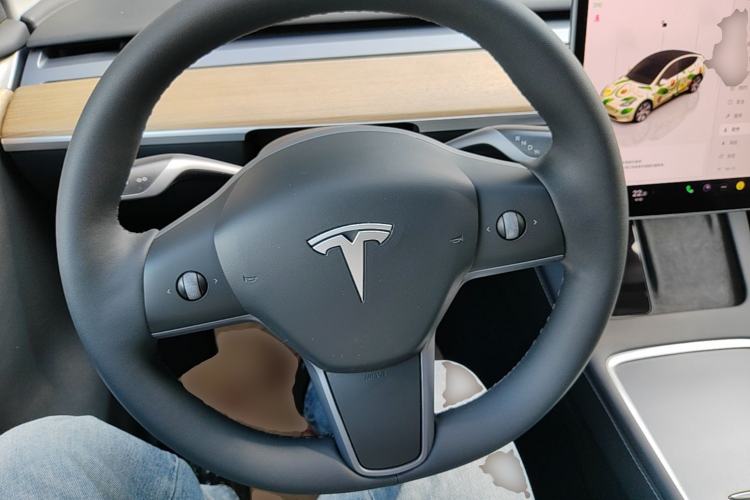 Used Tesla Model Y 2022 Revised Version Rear-Wheel Drive Steering Wheel