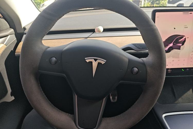 Used Tesla Model Y 2022 Rear-Wheel-Drive Version Steering Wheel