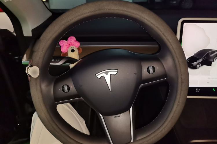 Used Tesla Model Y 2022 Revised Version Rear-Wheel Drive Steering Wheel