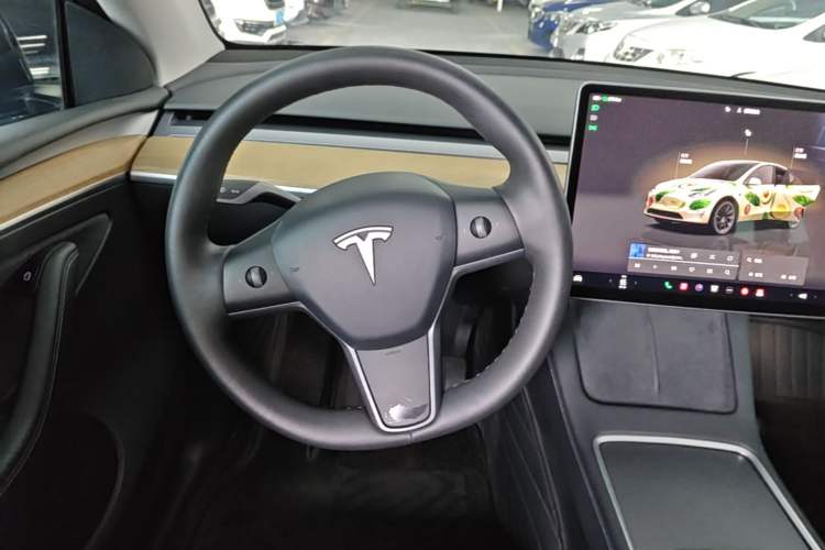 Used Tesla Model Y 2022 Rear-Wheel-Drive Version Steering Wheel