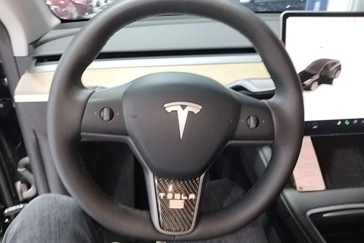 Used Tesla Model Y 2022 Revised Version Rear-Wheel Drive Steering Wheel
