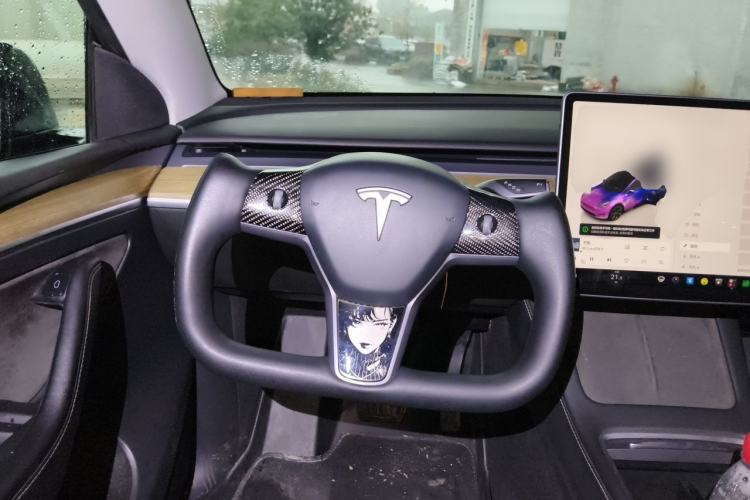 Used Tesla Model Y 2022 Rear-Wheel-Drive Version Steering Wheel