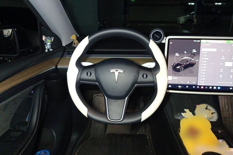 Used Tesla Model Y 2022 Rear-Wheel-Drive Version Steering Wheel