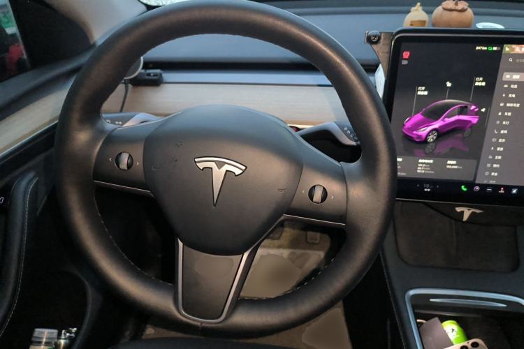 Used Tesla Model Y 2022 Long-Range All-Wheel-Drive Version Steering Wheel