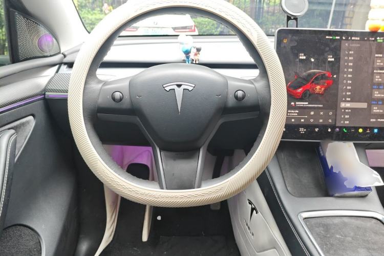 Used Tesla Model Y 2022 Rear-Wheel-Drive Version Steering Wheel