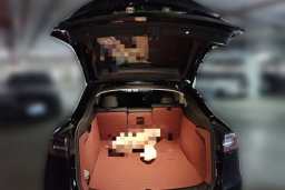 Thumbnail 20