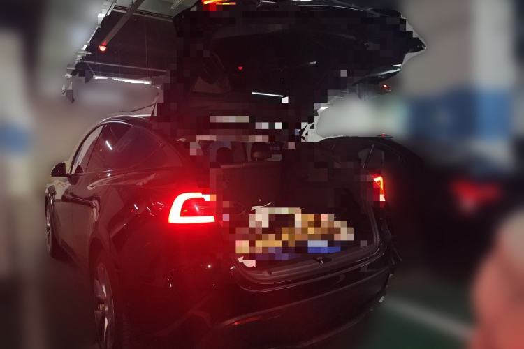 Used Tesla Model Y 2022 Revised Version Rear-Wheel Drive Trunk