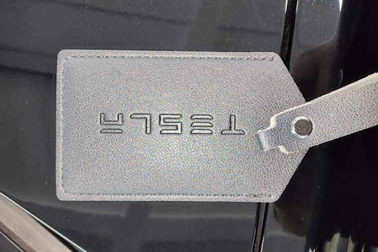 Used Tesla Model Y 2022 Performance High-Performance All-Wheel-Drive Version Vehicle Key