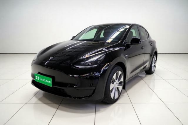 Tesla Model Y 2022 Revised Version Rear-Wheel Drive de segunda mano