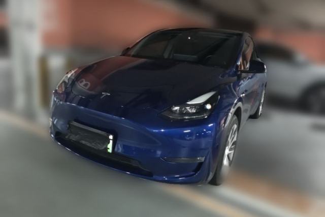 Tesla Model Y 2022 Revised Version Long-Range All-Wheel Drive de segunda mano